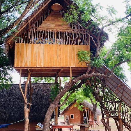 Yala Village Eco Tree House Tissamaharama Eksteriør bilde