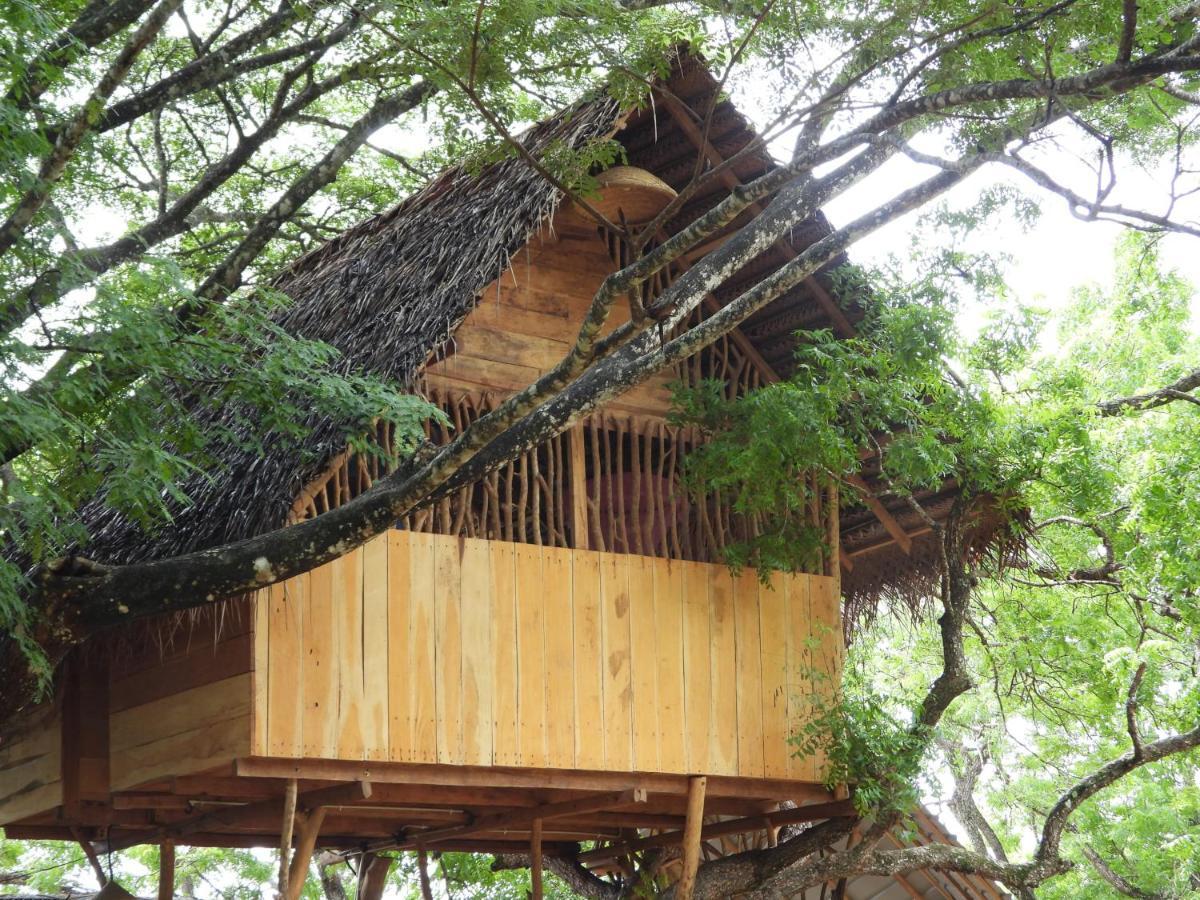 Yala Village Eco Tree House Tissamaharama Eksteriør bilde