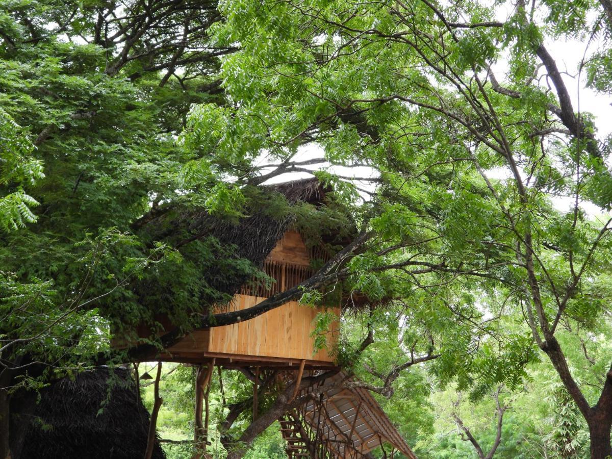 Yala Village Eco Tree House Tissamaharama Eksteriør bilde