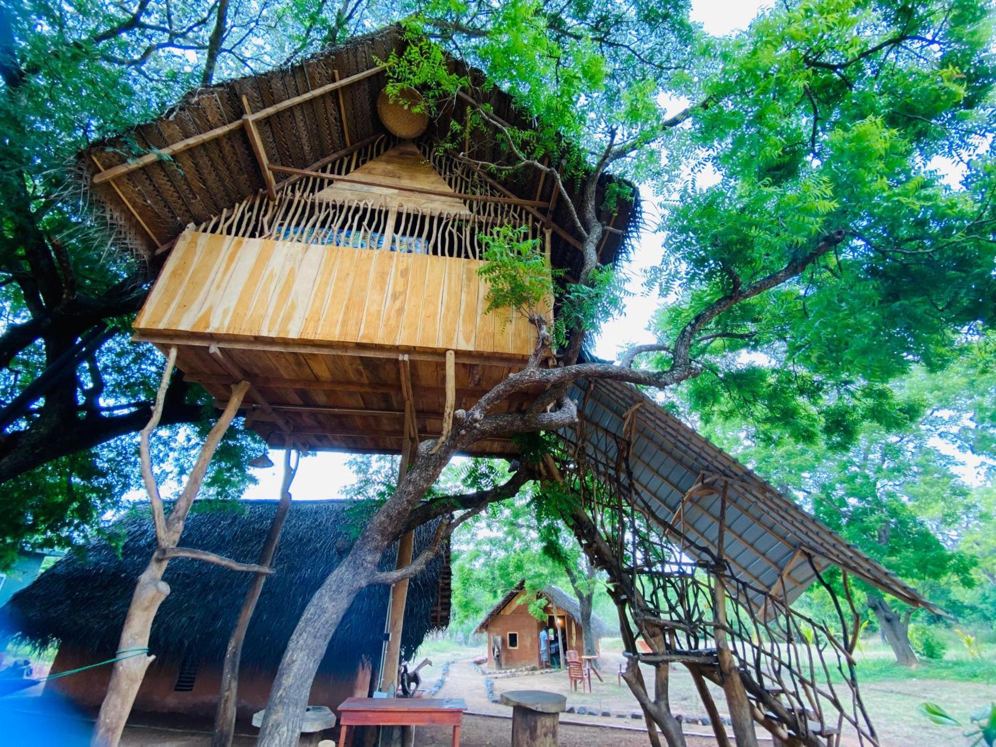 Yala Village Eco Tree House Tissamaharama Eksteriør bilde