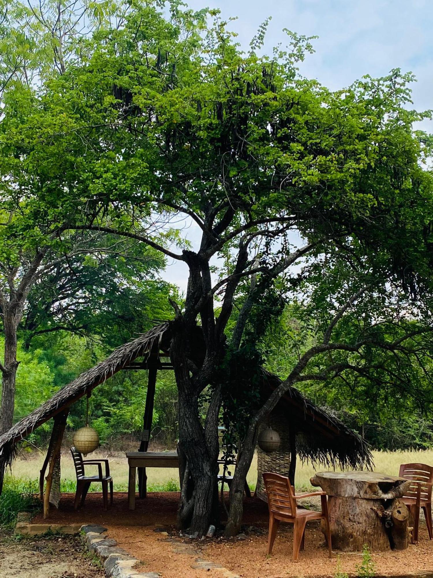 Yala Village Eco Tree House Tissamaharama Eksteriør bilde